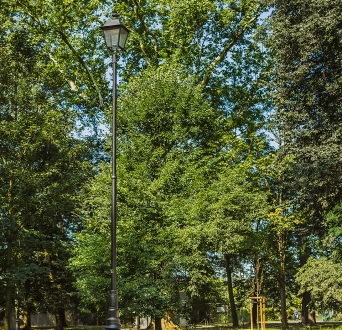 CL_Jelcz__021.jpg