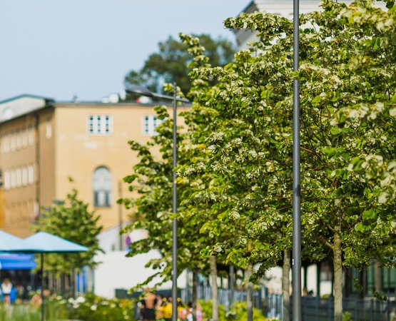 CL_Kraków_AHG_001.jpg