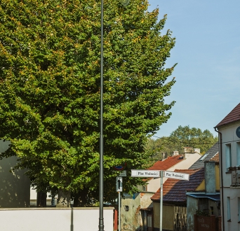 CL_Przemków_005.jpg