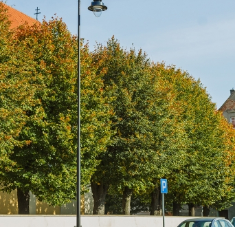 CL_Przemków_010.jpg