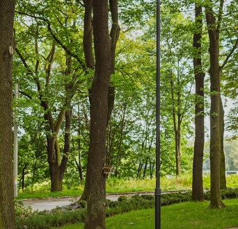 CL_Ząbkowice_park_002.jpg