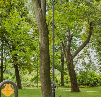 CL_Ząbkowice_park_004.jpg