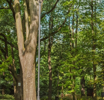 CL_Ząbkowice_park_010.jpg