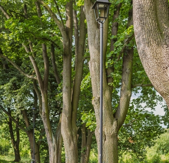 CL_Ząbkowice_park_013.jpg